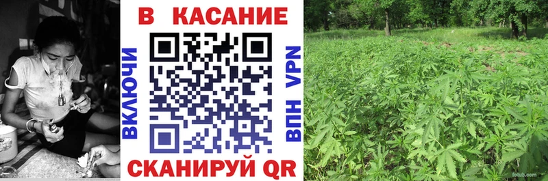 Наркошоп купить Псилоцибиновые грибы  АМФЕТАМИН  ГАШ  Марихуана  Меф мяу мяу  СОЛЬ  Каменногорск