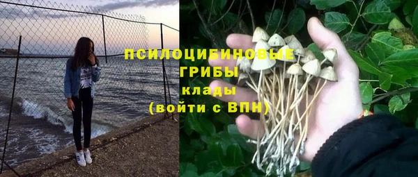 каннабис Дмитровск