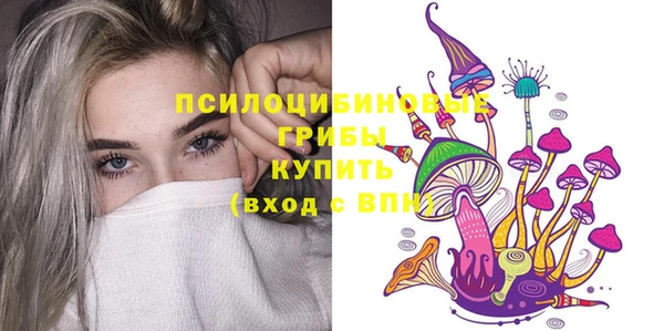 прущая мука Гусев