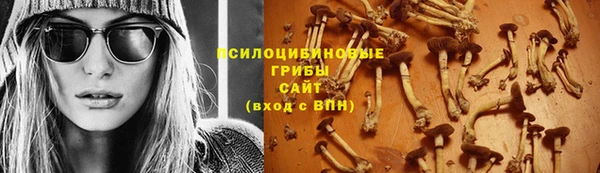 ешки Дмитров